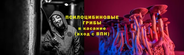 хмурый Михайлов